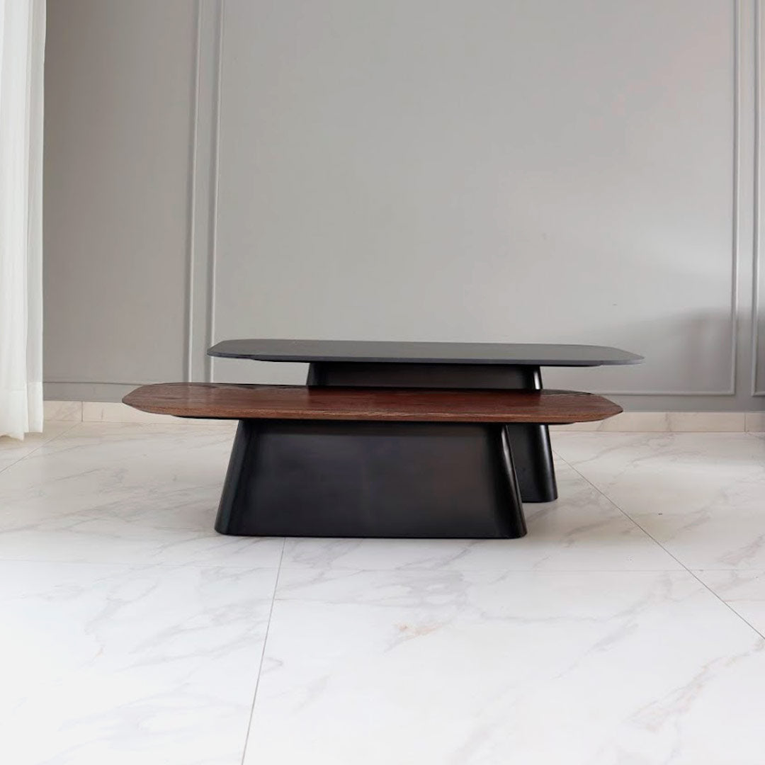 Coffee tables featuring both marble and wood tops, offering a stylish combination of materials for modern living spaces. The marble top adds elegance and sophistication, while the wood top brings warmth and natural texture, creating a versatile and visually appealing centerpiece for any room.